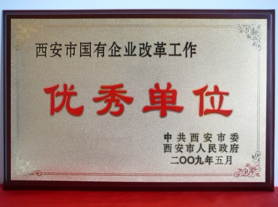 2009年5月，被西安市委、市政府評(píng)為西安市國(guó)企業(yè)改革工作優(yōu)秀單位