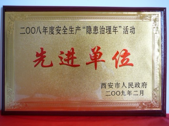 2009年2月，被西安市人民政府評(píng)為2008年度安全生產(chǎn)“隱患治理年”活動(dòng)先進(jìn)單位