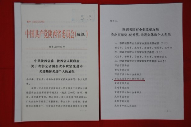 2009年2月，被陜西省委、省政府授予陜西省國(guó)有企業(yè)改革攻堅(jiān)先進(jìn)集體